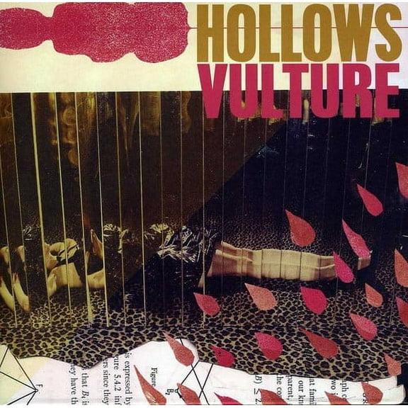 Hollows - Vulture - Music & Performance - CD