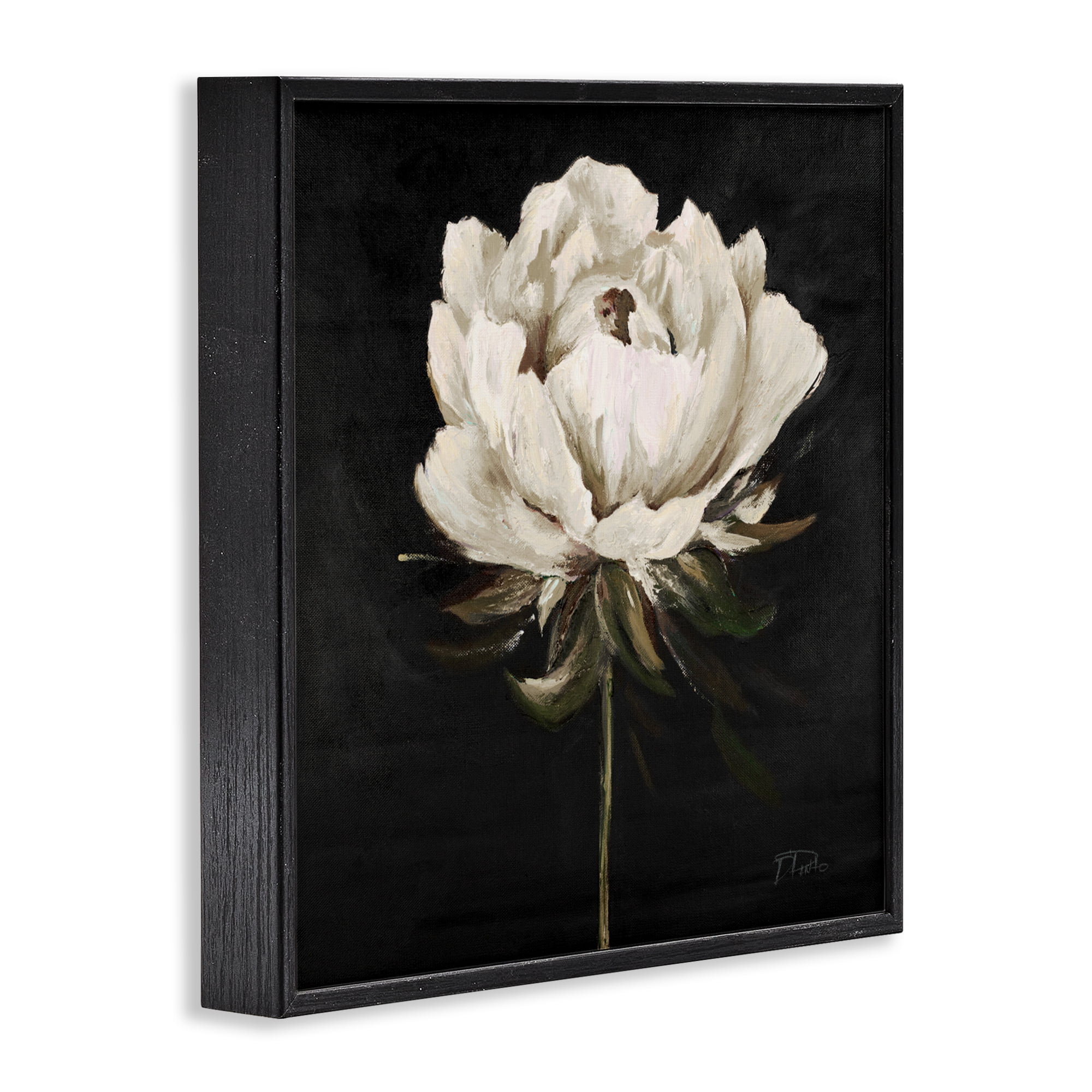 Stupell Industries Pretty Delicate Bloom on Black Black Framed Giclee Art, design by Patricia Pinto