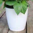 thumbnail image 6 of Cheer US 6Pcs/Set Self Watering Plastic Planter,Plastic Flower Plant Pot with Inner Pot,Self Watering Planter White Flower Pot for Herbs,Flowers,All House Plants,Succulents, 6 of 7