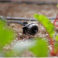 Automatic Watering Drip Irrigation System, 50 Drippers, 155 ft for