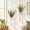 Green Grey 2pcs, variant on Green 2pcs Macrame Wall Hanging Planters with LED Lights Boho Woven Plant Holders