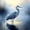 Blue White, variant on Erosebridal Watercolor Heron Animals Zipper Twin Comforter Sets with Fitted Sheet and 2 Pillowcases,Transitional Wildlife Zipper Bedding Set,Blue White,Black Reversible,4pcs