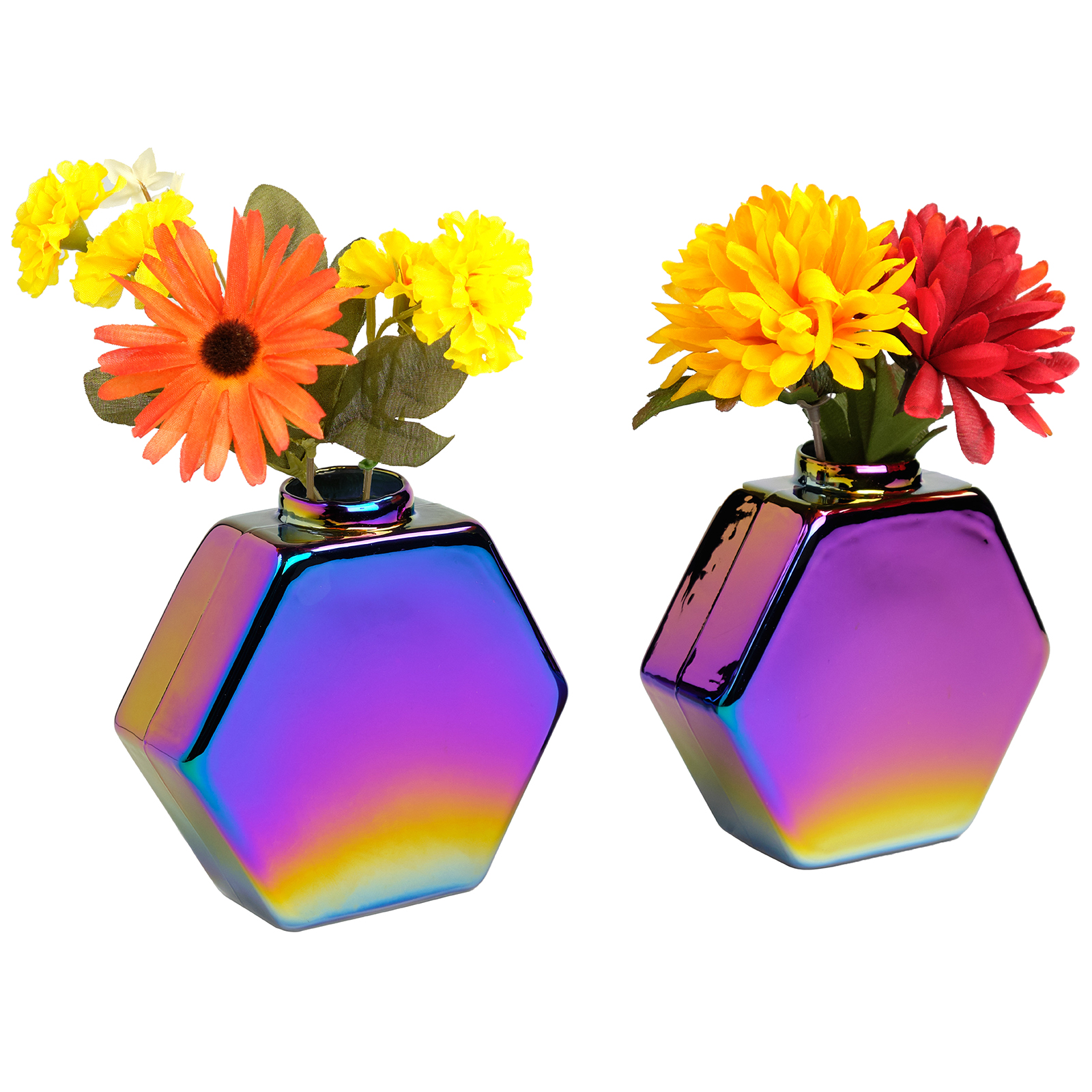 Glass Rainbow Flower Vase Colorful Wall Mountable Vase (5"x5.25