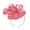 A1 Pink, variant on WGRFFH Fascinators Hat Flower Mesh Ribbons Feathers On A Headband and A Clip Tea Party Headwear for Girls and Women Fascinator Tea Bridal British Women's Headband Green One Size