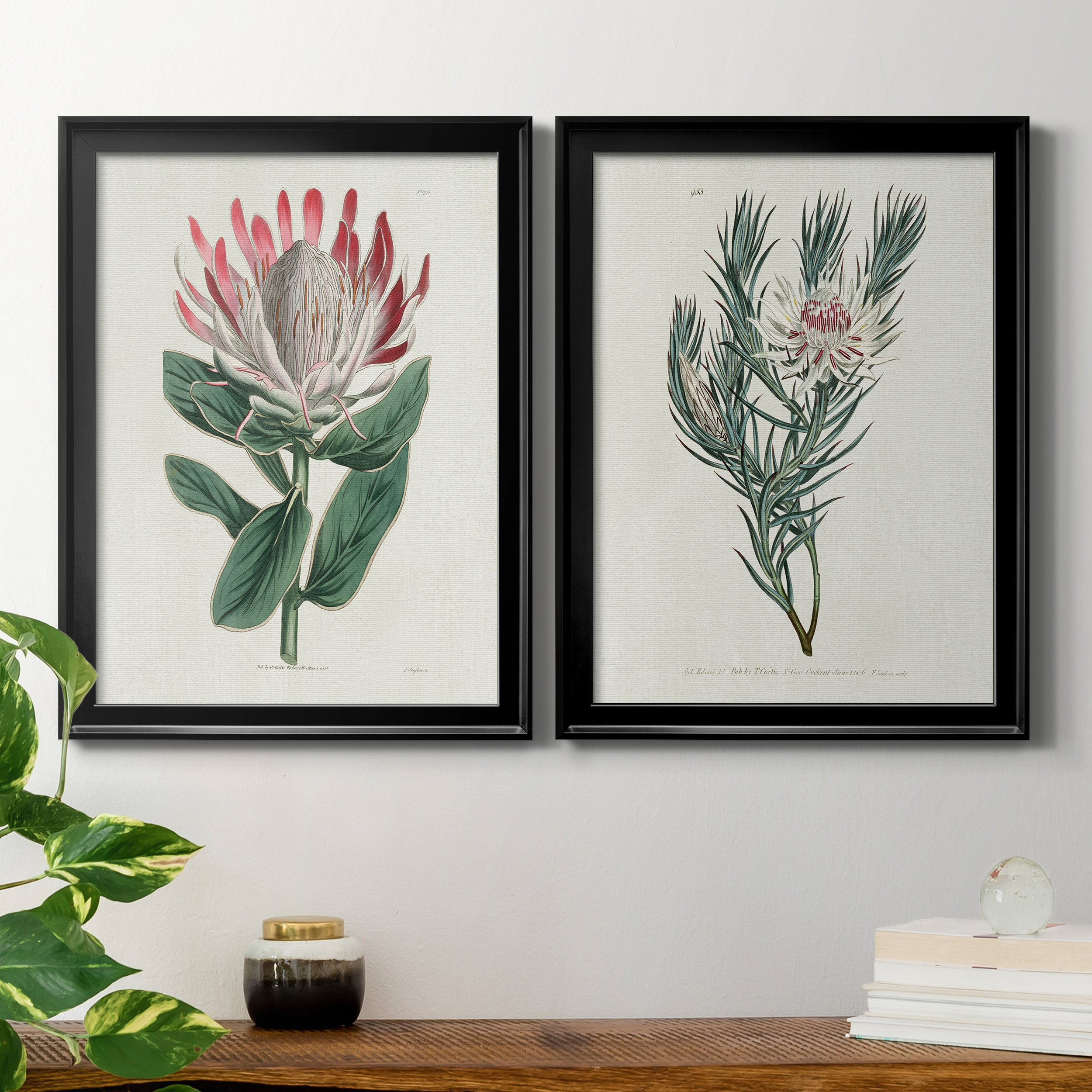 2 Piece Set Protea N13 Premium Framed Canvas - Ready to Hang - 22.5 x 30.5 Each - Black Frame