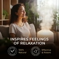 thumbnail image 5 of Gya Labs Vanilla Essential Oil for Diffuser - Vanilla Oleoresin Essential Oil for Skin, Long Lasting Vanilla Oil Perfume (0.34 fl oz), 5 of 8