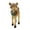 RIGHT, variant on Transpac Deer W/Santa Hat - 1 Deer 7.5 Inch, Polyresin - Reindeer Christmas