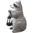 thumbnail image 5 of YTC SUMMIT North American Raccoon Statue Holding Solar Powered Lantern LED Light Patio Decor Indoor Outdoor Racoon, 5 of 5