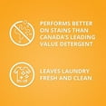 thumbnail image 3 of Arm & Hammer Clean Fresh Scent Liquid Laundry Detergent, 215 Loads, 6.36-L, 3 of 5