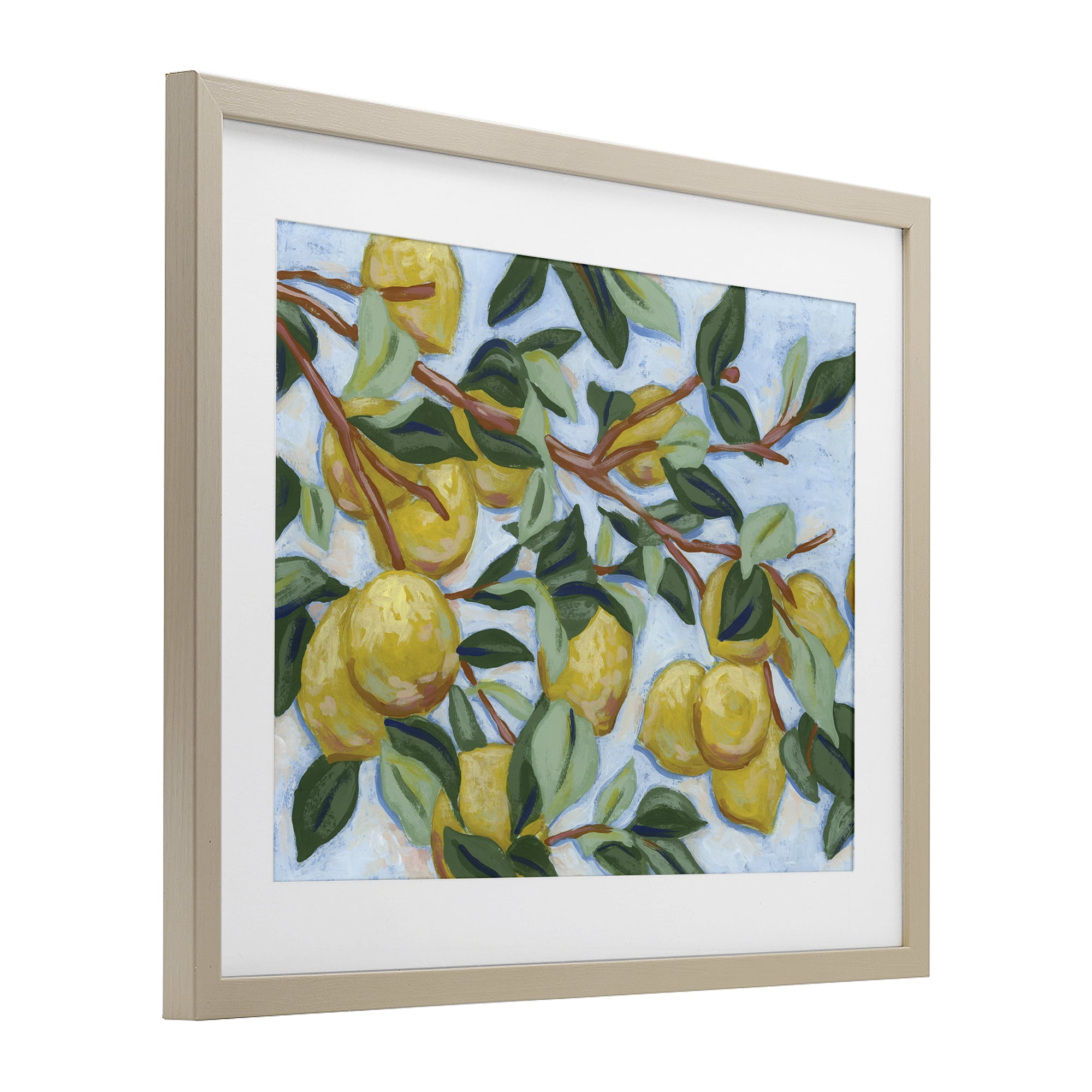 Stupell Industries Sunshine Citrus Tree Birch Framed Print Under Glass, design by June Erica Vess