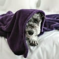 thumbnail image 2 of Fleece Blanket Soft Cozy Twin Size Blankets-Warm Fuzzy Lightweight Bed Throw Purple 60"x80", 2 of 6