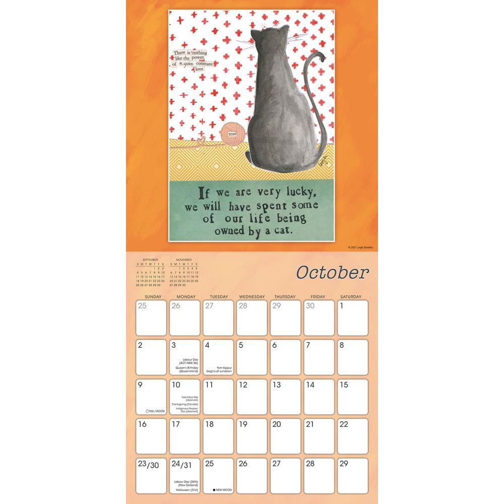 curly girl 2022 wall calendar walmart com