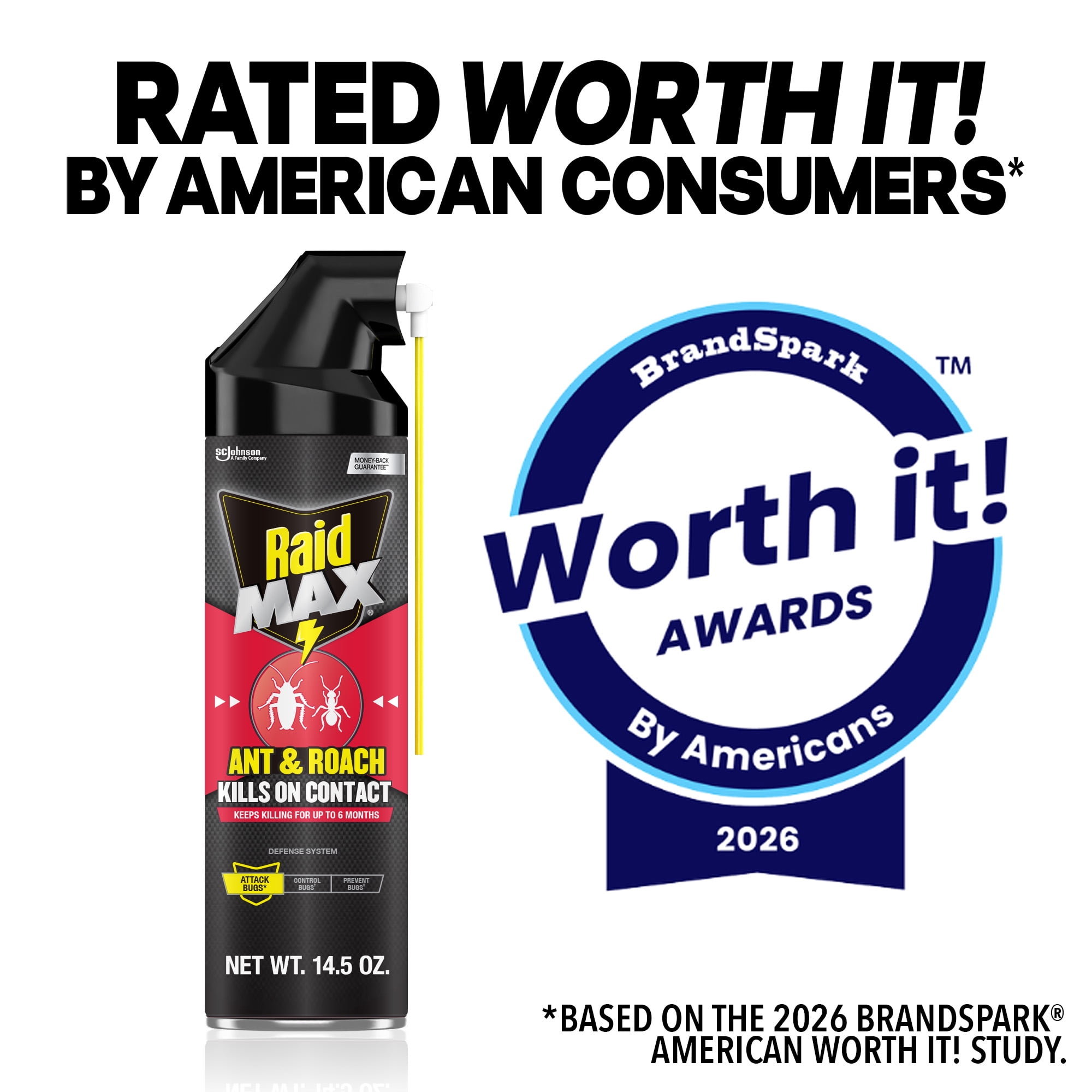 Raid MAX Indoor Ant and Roach Insecticide, 14.5 oz