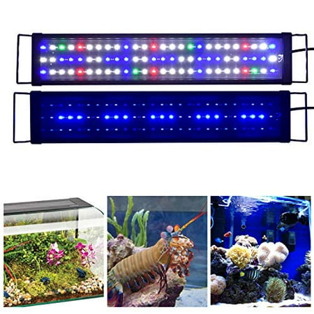 feed Way tailor KZKR Amélioré Aquarium Lumière LED Spectre Complet 24 "-32" Capot Lampe D'éclairage pour Plantes Marines D'eau Douce Décorations De Réservoir De Poissons Lumière 60cm - 80cm | Walmart Canada feed Way tailor KZKR Amélioré Aquarium Lumière LED Spectre Complet 24 "-32" Capot Lampe D'éclairage pour Plantes Marines D'eau Douce Décorations De Réservoir De Poissons Lumière 60cm - 80cm | Walmart Canada