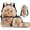 Light Pink Capybara, variant on Bulopur Girls 17 Inch Backpack Set, 4 Piece Cherry Blossom Pink Axolotl Print School Bookbag with Lunch Box, Water Bottle Holder and Pencil Case for Elementary Girls