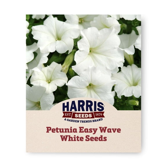 Harris Seeds Easy Wave White F1 Petunia, Spreading White Flower Variety for Hanging Baskets and Containers, 25 Count