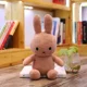 thumbnail image 1 of Rabbit Doll Long Ear Rabbit Plush Toy Baby Comfort Doll Rag Doll Sleeping Birthday Gift Gong Bohan unisex, 1 of 2