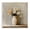 Pastel Floral Vase Still Life, variant on Stupell Industries Eclectic Summer Flowers & Fruit Black Floating Frame Canvas Art, 18 x 18, by Creative Studio