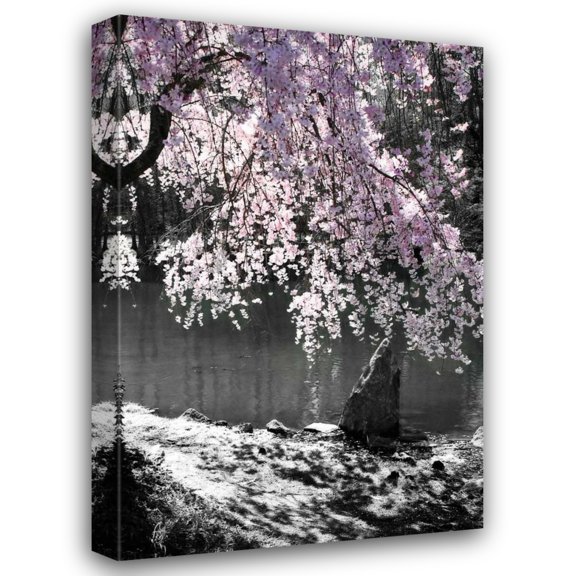 Alan Hausenflock 28x40 Gallery Wrapped Canvas Wall Art Titled - Cherry Tree II