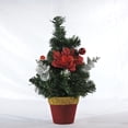 thumbnail image 1 of Feltree Artificial Mini Christmas Tree Desktop Ornament for Indoor Garden Decor with No Maintenance, 1 of 8