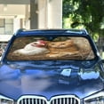 thumbnail image 4 of WOBOGO Chicken Orange Cat Pattern Car Windshield Sunshades Autopilot Lightweight Accordion Sun Visor 57×31.5in, 4 of 8