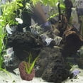 thumbnail image 2 of MasteelfCA 6 Pcs Aquarium Roches Volcaniques Réservoir de Poissons Décoratif Support de Roche Fixe Décoration Maison, 2 of 8
