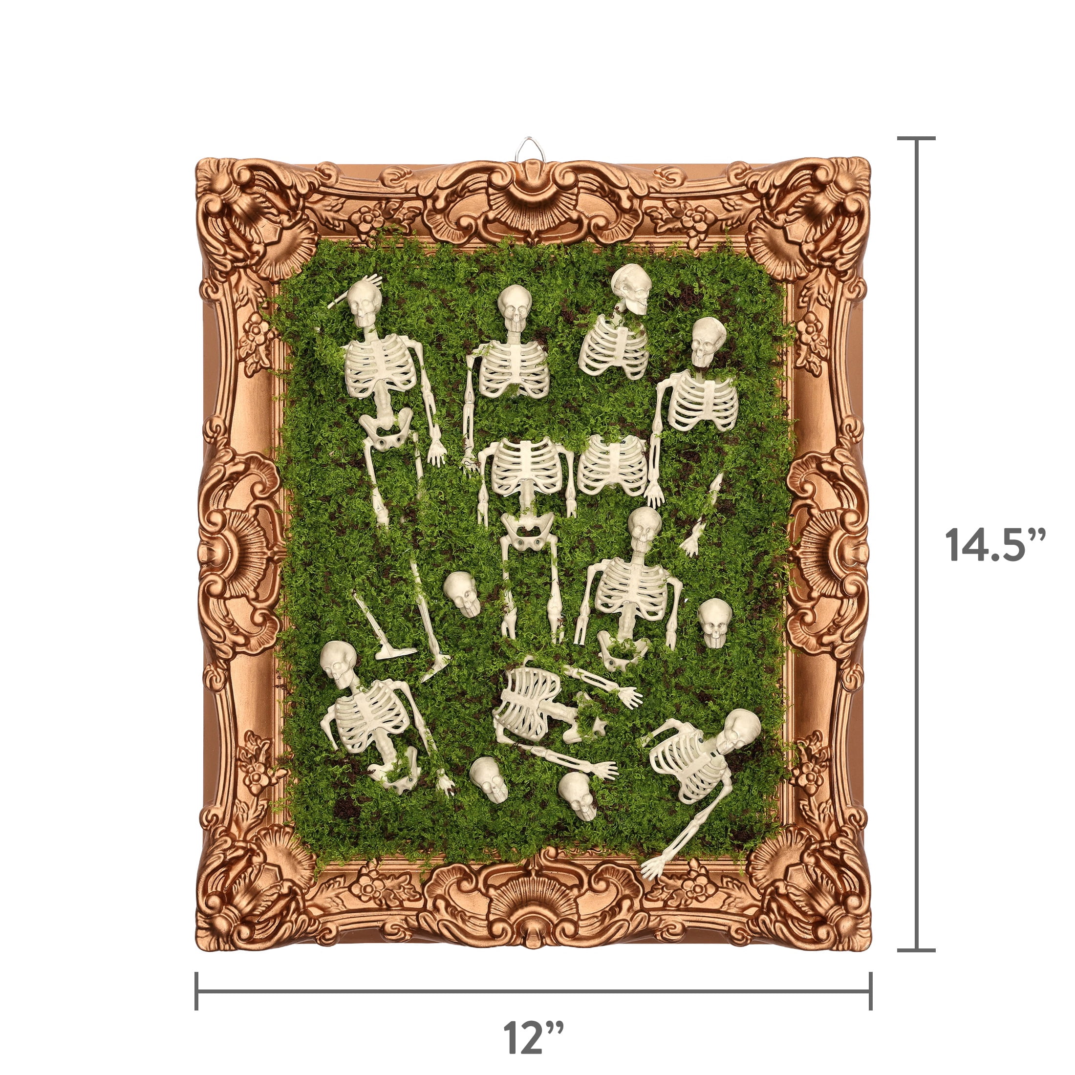 Skeleton Moss Framed Wall Art, Multicolor, 12" x 14.5", Halloween by Way To Celebrate