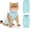 Mint, variant on Cat Recovery Suit for Surgery, Breathable Anti-Licking Onesie for Kittens, Surgical Post-Operative Protective Bodysuit, Comfortable Alternative to E-Collar -Green (M)