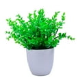 thumbnail image 1 of Artificial Bonsai Indoor Plastic Fake Plant Decor Simulation Potted Plant Pot Home Decor Simulation Potted Plant, Small, 1 of 1