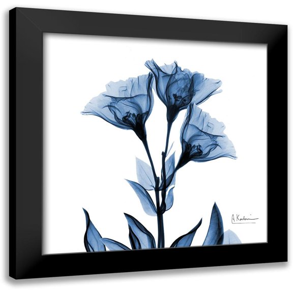 Koetsier, Albert 12x12 Black Modern Framed Museum Art Print Titled - Indigo Gentian