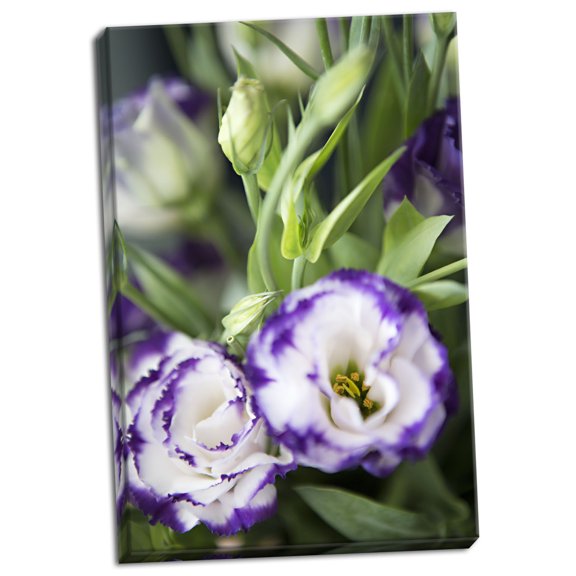 Gango Home Decor Contemporary Purple Tipped Floral I by Karyn Millet (Ready to Hang); One 16x24in Hand-Stretched Canvas