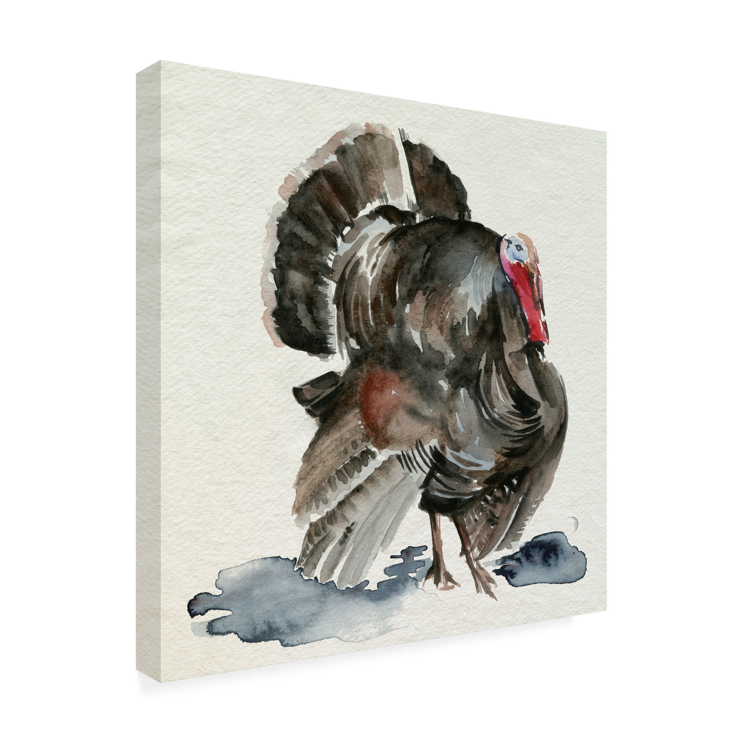 Jennifer Paxton Parker 'Watercolor Turkey I' Canvas Art