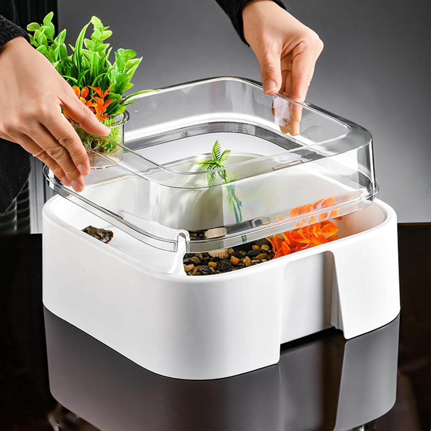 Tortoise Tank Set with Lighting, Artificial Plants, Stones, Raised Curved Design for Indoor