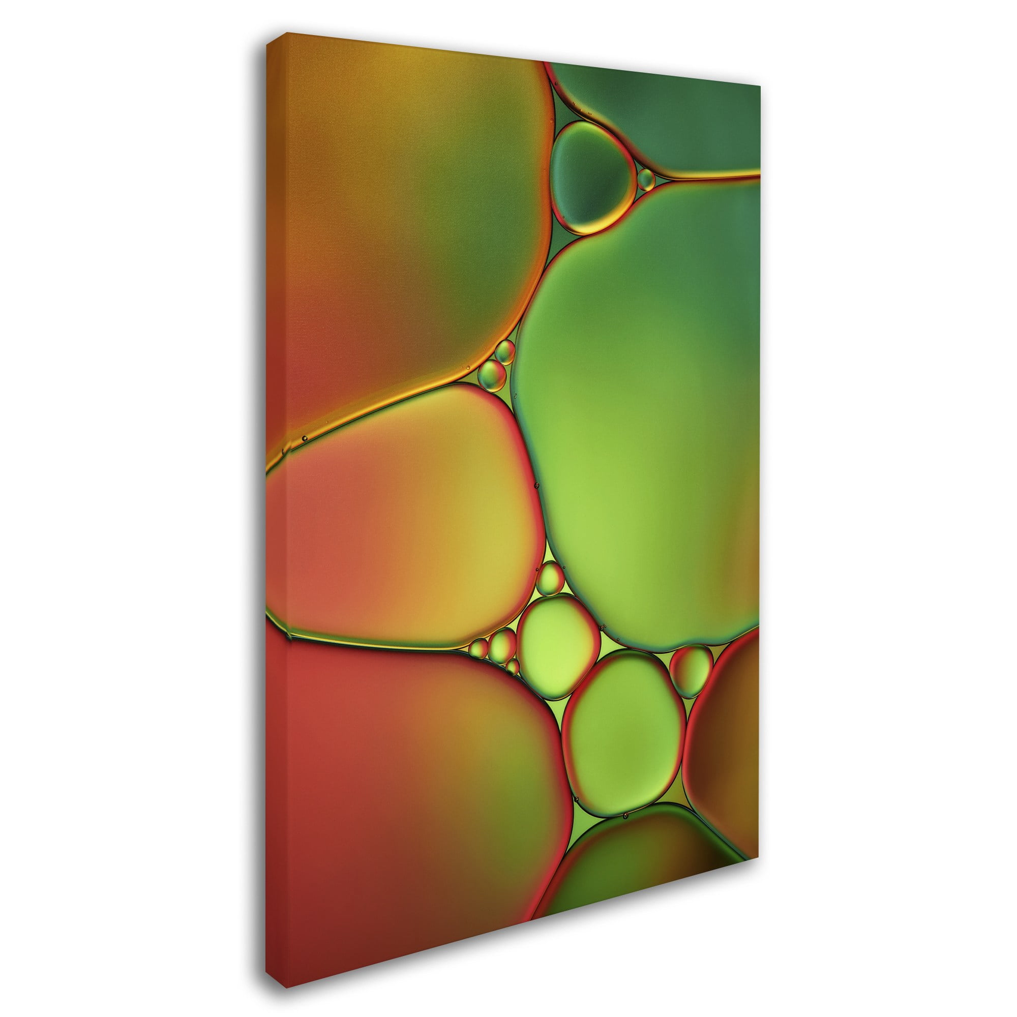 Trademark Fine Art 'Stained Glass II' Canvas Art by Cora Niele