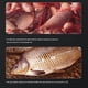 thumbnail image 4 of Strong Fish Attractant Concentrated Liquid Blood Worm Scent Fish Attractant Spray Flavor Additive Fishy Trout Carp Bass, 4 of 5