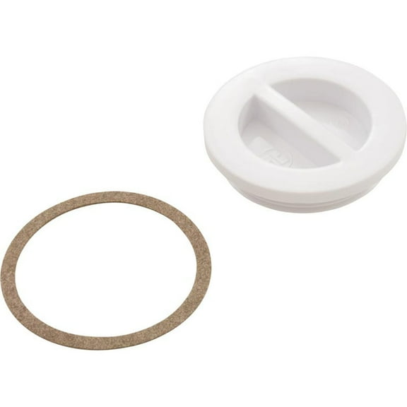 Plug, Hayward, Flush Inlet Fitting, 1-1/2"