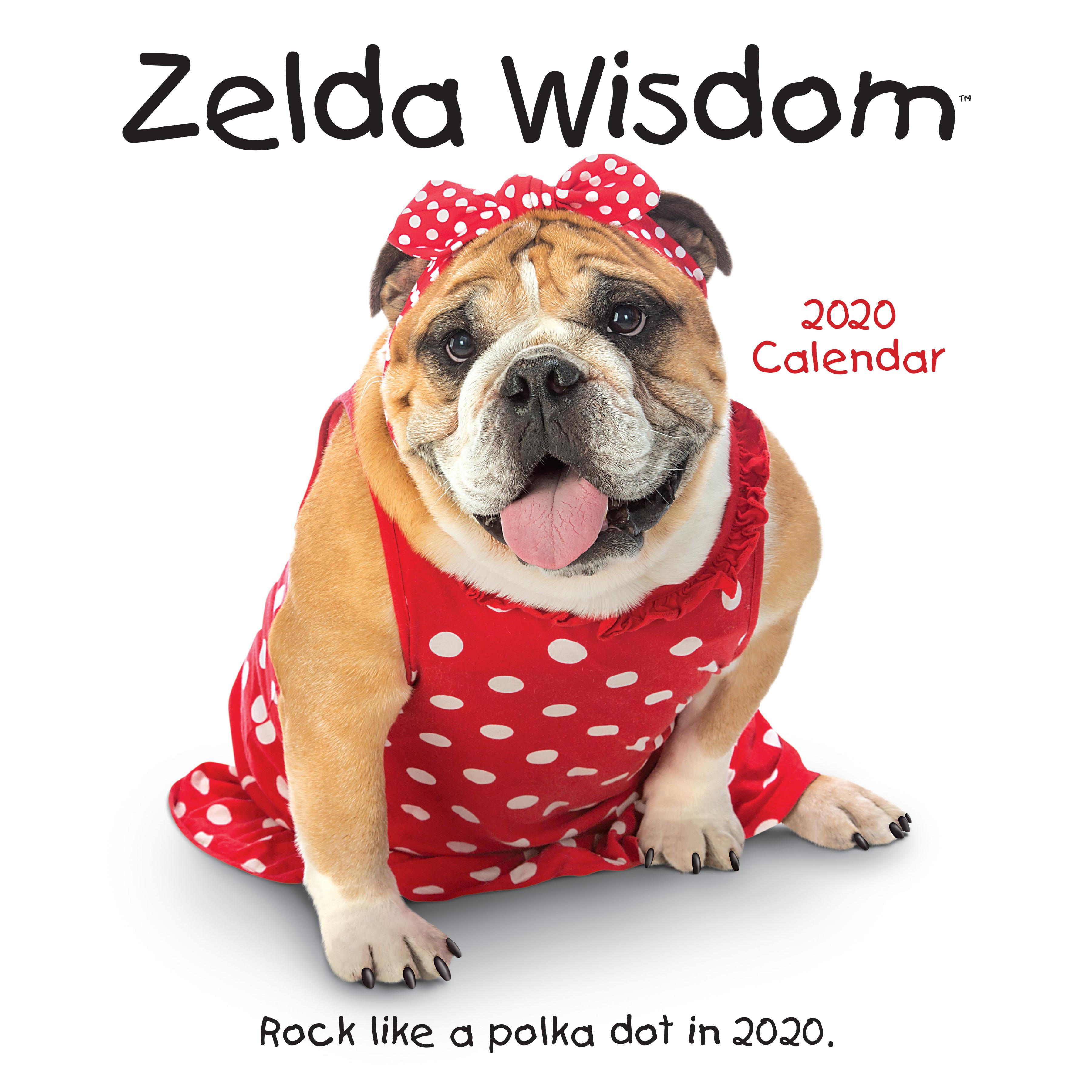 Zelda Wisdom 2020 Wall Calendar (Other)