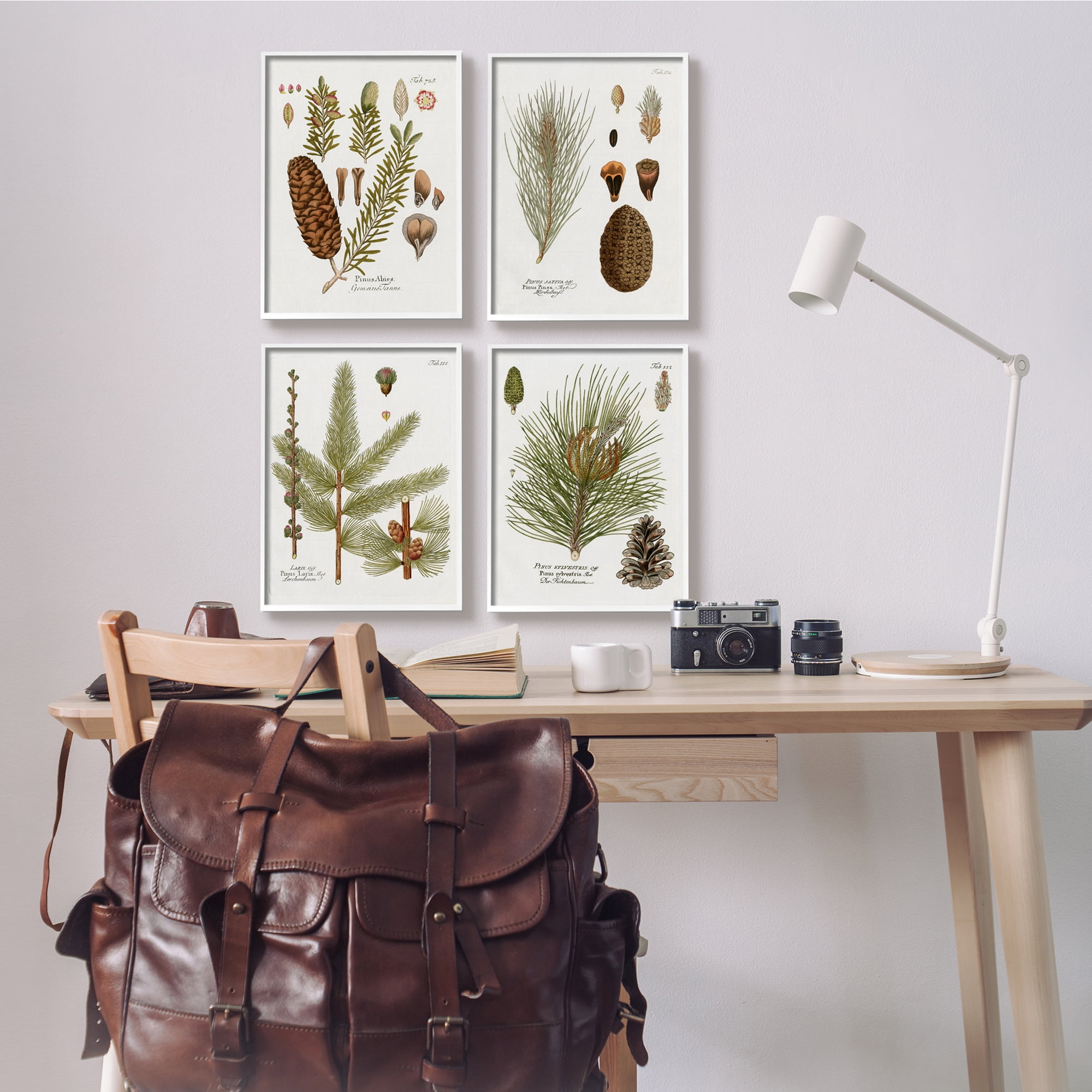 Stupell Industries Vintage Forest Pine Illustrated Study Green Brown Plants, 11 x 14, Design by Kelly Donovan