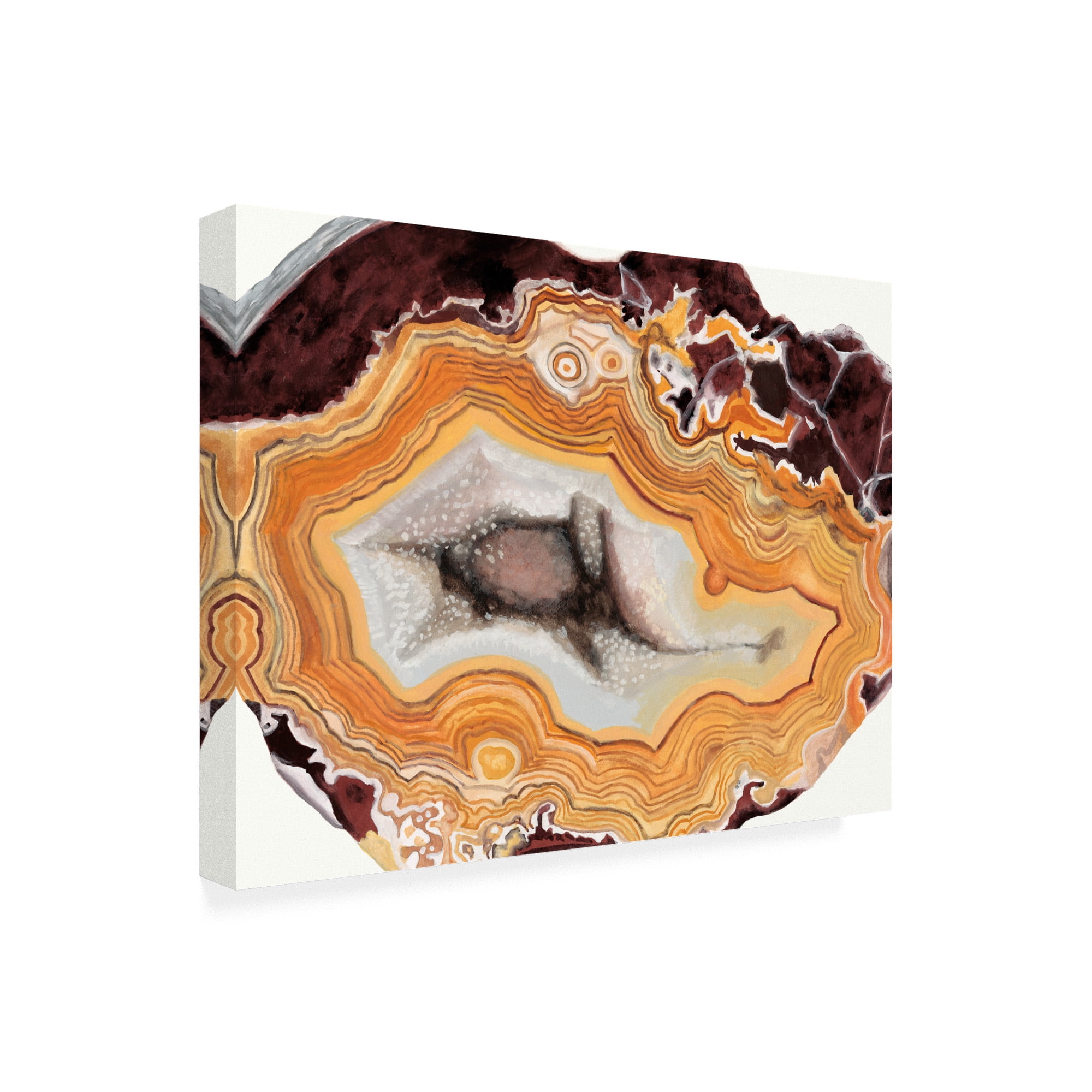 Trademark Fine Art 'Agate Studies III' Canvas Art by Naomi McCavitt