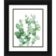 thumbnail image 1 of Robinson, Tamara 15x18 Black Ornate Wood Framed with Double Matting Museum Art Print Titled - Eucalyptus III, 1 of 4