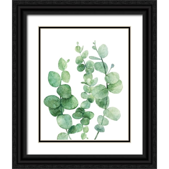 Robinson, Tamara 15x18 Black Ornate Wood Framed with Double Matting Museum Art Print Titled - Eucalyptus III