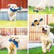 thumbnail image 5 of Juguete de peluche para cachorros y perros medianos y grandes, juguete chirriante, juguete para morder, juguete para la dentición, seguro y duradero, juguete suave, casi indestructible., 5 of 5