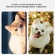 thumbnail image 4 of Peine Multifuncional Versátil Para El Cuidado De Perros Con Dientes Densos, Peine Para Mascotas De Acero Inoxidable, Masaje Suave Del Cuero Cabelludo, Depilación Completa,, 4 of 7