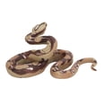 thumbnail image 1 of Juguete de Serpiente, Bromas de Serpientes Portátiles Realistas Juguete Suave Lavable para Aduldos para Jardín, 1 of 7