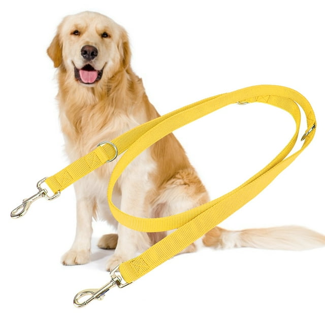 Correa flexible de nailon con doble hebilla de 2 m para pasear perros, cuerda de tracción con cadena (amarilla, 2,5 cm x 200 cm)