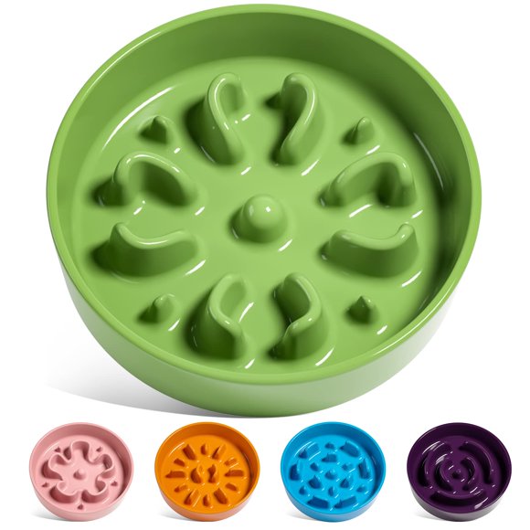 Cuenco para perros Slow Feeder LE TAUCI, cerámica, raza pequeña, 140 ml, verde