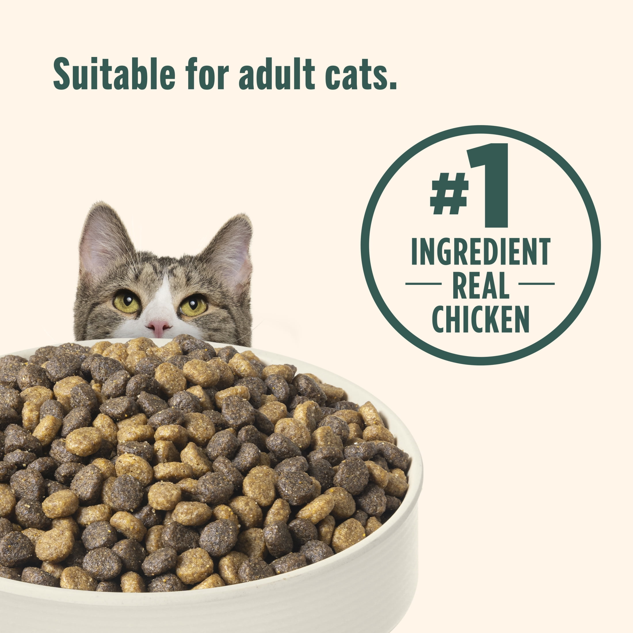 Nutrish Indoor Complete Chicken, Lentils & Salmon Recipe Dry Cat Food (Rachael Ray), 3 lb. Bag