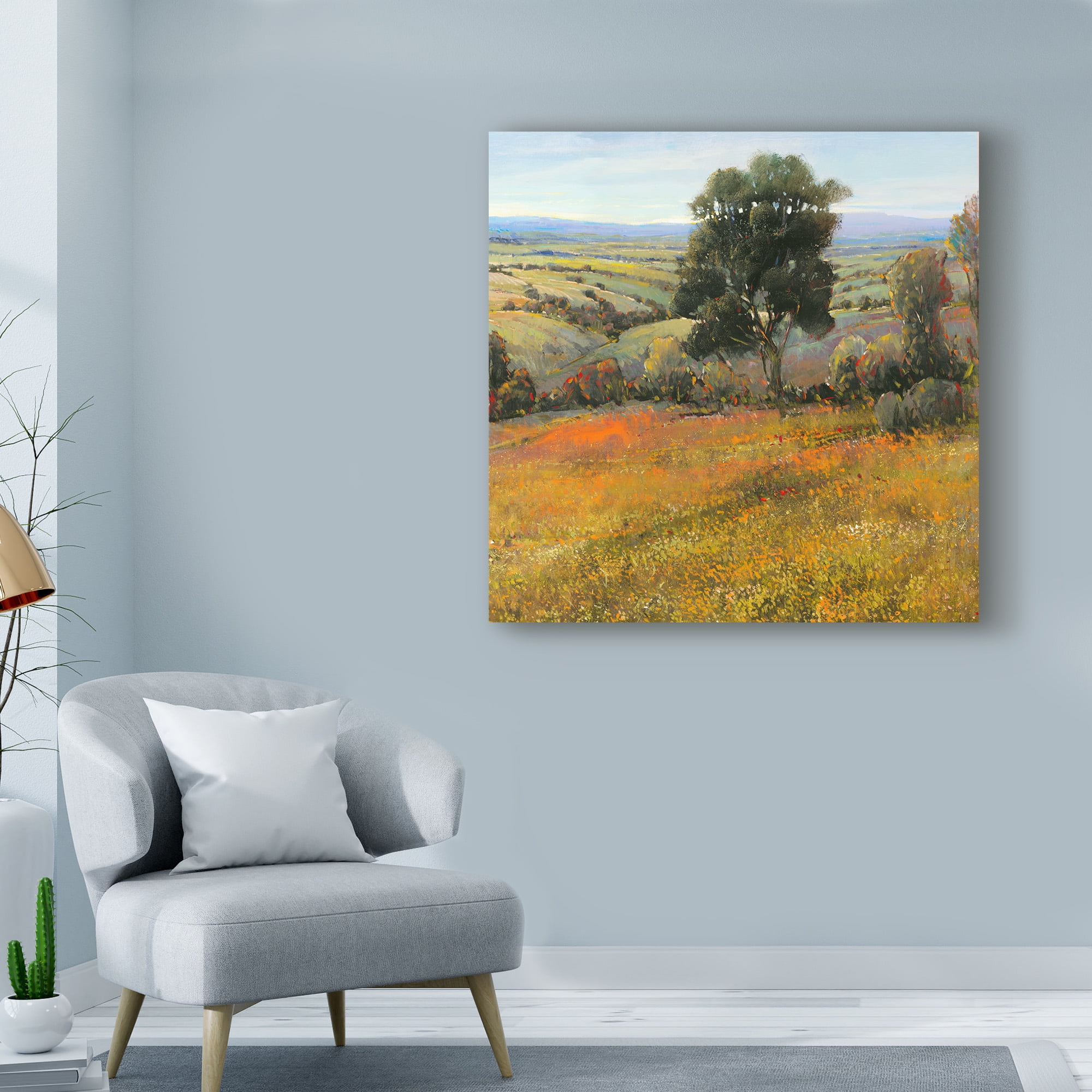 Trademark Fine Art 'Field in Summer' Canvas Art by Tim OToole