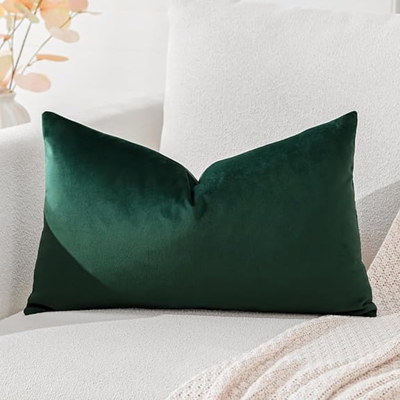Eryueer Luxury Velvet Cushion Covers Super Soft Decorative Throw Pillow Covers Case Lumbar Cushion Cases for Sofa Couch Bedroom Car Decor 30x50cm Army Green