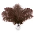 thumbnail image 1 of Plumas de avestruz marrones Soarer de 30 a 35 cm para manualidades, 15 unidades, 1 of 6